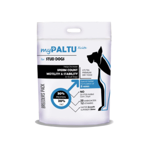 myPALTU Xcite for Stud Dogs 1kg